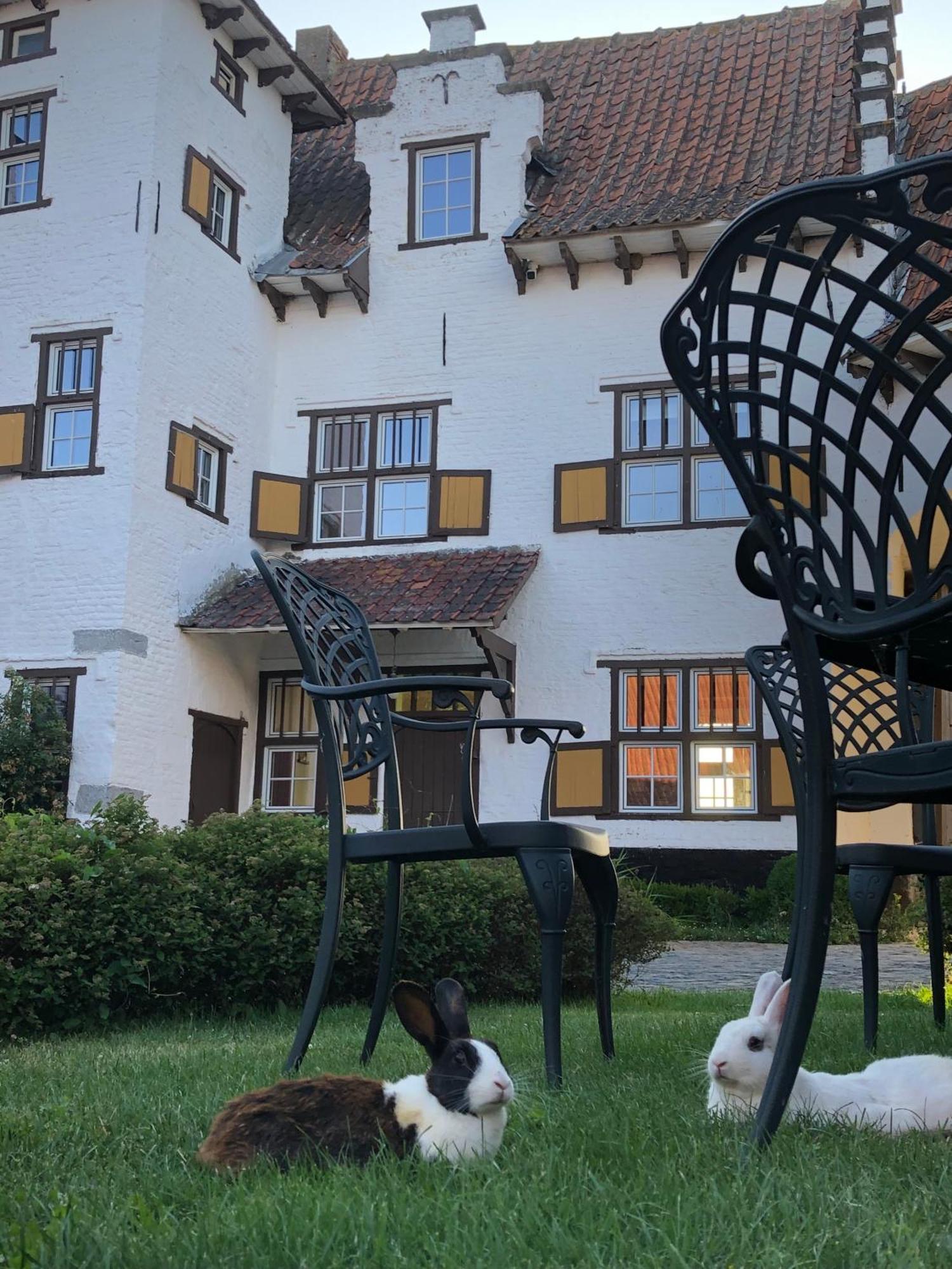 Ferme Delgueule Hotel Tournai Exterior photo